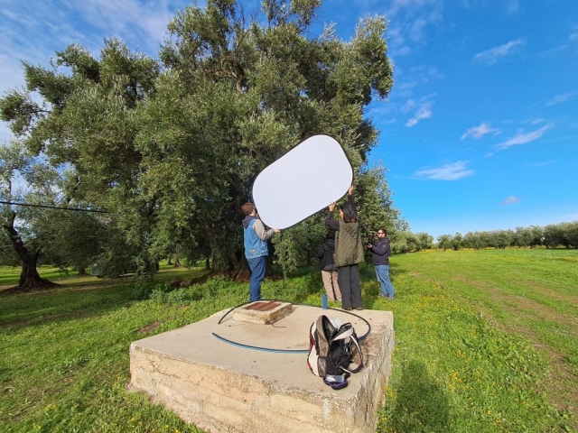 594189031_1185367330361232_5170444508399554320_n