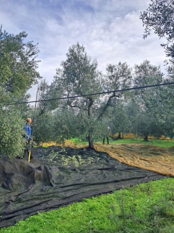 594276535_1185366300361335_2858791845626297424_n